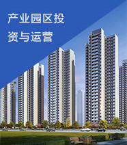 產(chǎn)業(yè)園區(qū)投資與運(yùn)營(yíng)